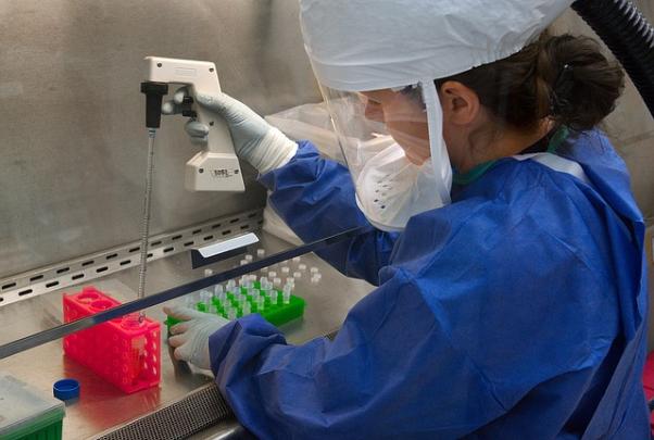 Laboratory pipettes organized for calibration tracking